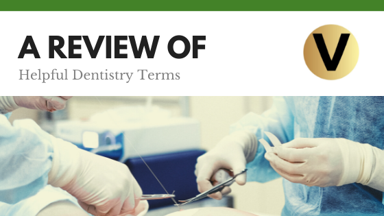 Viper Equity Partners Dentist Terms