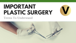 Viper Equity Partners Plastic Surgery Terms